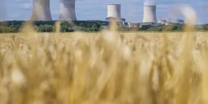 Maxence Cordiez : "Supprimons le coefficient de conversion pour l’électricité"