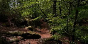 Union européenne: la loi sur la restauration de la nature entre en vigueur