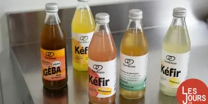 Laisse-moi kéfir la vibe