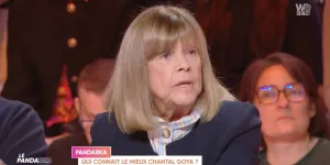 "Il était minuit", Chantal Goya face à une grande figure de la criminalité française