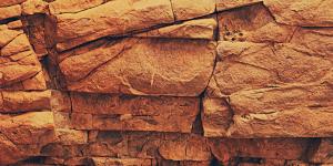 WordPress et Ajax : les bases • Formation WordPress Capitaine WP