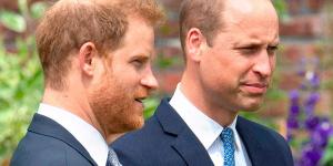 Harry et William : tous les secrets de leur réconciliation