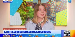 L'invitée de Bonjour Alsace : Léa Bollecker (L214)