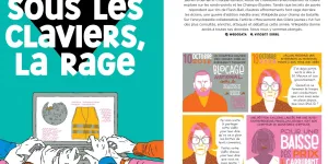 Sous les claviers de la rage : documentaire sur Wikipedia en bandes dessinées - Laurent.CHEDANNE / pro