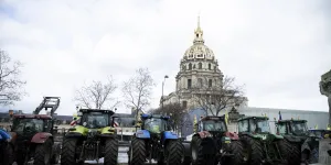 Le traité entre l'UE et le Mercosur, ou une haine certaine de la France qui va tuer nos éleveurs