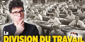 Peut-on travailler COMME DES FOURMIS ? 🐜 🐜 🐜