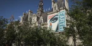 Canicule : plantons des arbres… mais pas n’importe comment