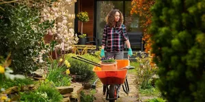 Jardinage : que planter, semer et faire au jardin en septembre ?