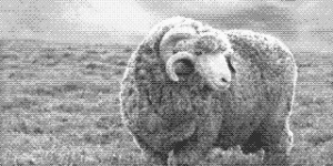 Isolation: d’abord le corps puis la maison