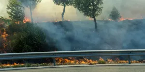 Départ en vacances : "Près d’un fumeur sur 5 jette encore ses mégots par la fenêtre de sa voiture", déplore Vinci Autoroutes