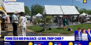 Foire éco bio d’Alsace: la nourriture biologique est-elle trop chère ?