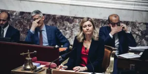 Loi Duplomb : près d'un million de signatures contre, Yaël Braun-Pivet favorable à un "débat"