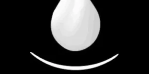 The Prime Reasons to Avoid Amazon — The New Oil