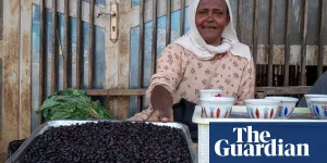 ‘We would not survive without coffee’: how rules made in Europe put Ethiopian farmers at risk