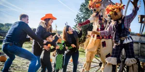 Halloween : 5 idées de sorties pour se faire une peur bleue