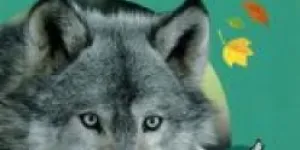 Les loups - Delphine Grinberg - Babelio