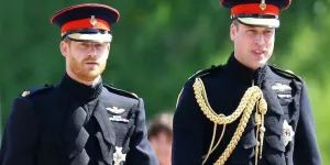 William et Harry : ce mariage tant attendu qui ravit la famille royale