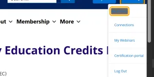 Was my IAAP Certification worth it? - Nic Chan