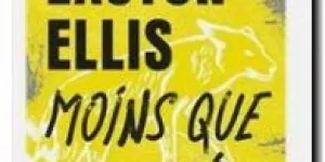 Suite de la lecture de : Moins que zéro, de Bret Easton Ellis