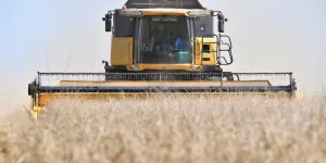 "La plus petite récolte de blé depuis 41 ans" : fauchés comme jamais, les céréaliers français sous la menace russe