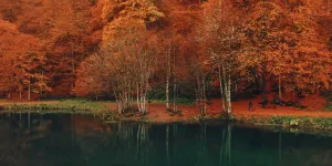 Voir l’automne, une saison en France (France 2) - Que nous réserve ce documentaire produit par Yann Arthus-Bertrand ?
