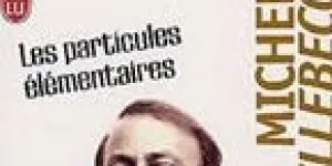 Avis sur : Les particules élémentaires de Houellebecq