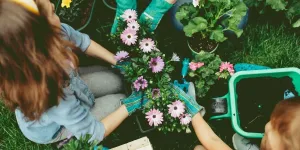 10 fleurs à planter en août pour un beau jardin à la rentrée