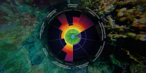 La 7e limite planétaire est officiellement dépassée : l’acidification des océans