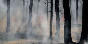 Le monde se dirige vers un réchauffement de +3.1°C