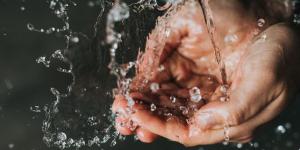 Liquide vaisselle : laver sans salir, mission impossible ? | Blutopia
