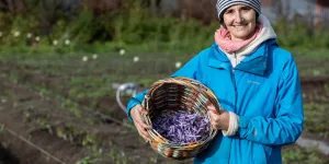 Sur le toit d'un immeuble strasbourgeois, Anaïs Meyer cultive un safran 100 % local et écoresponsable