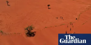 Humanity is on the verge of ‘shattering Earth’s natural limits’, say experts in biodiversity warning