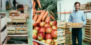 À Strasbourg, rencontre avec celles et ceux qui ramènent le bio dans nos assiettes