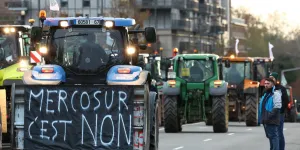 UE-Mercosur : Italie, Pologne... qui pourrait suivre la France dans l'opposition à l'accord ?