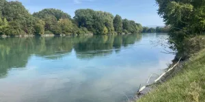 "C'est comme une bombe pour la faune et la flore" : un projet de barrage sur le Rhône contesté