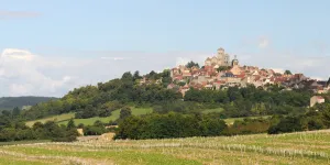 Dans l'Yonne, la divine résurrection du vin de Vézelay grâce aux vignerons de la colline éternelle