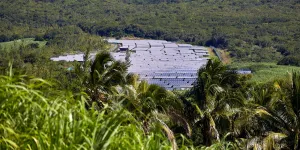 Accès à l'énergie en outre-mer : "Le problème, c'est l’absence de politique industrielle régionale"