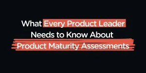 My (Highly Opinionated) Guide to Product Maturity Assessment — Petra Wille