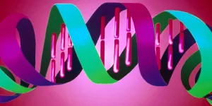 Personnalité, tempérament, liberté : ce que la biologie dit (vraiment) de ce que nous sommes