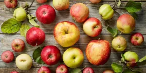 Saveur d'automne : quelle pomme pour quelle recette ?