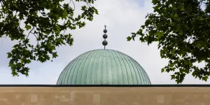 Tête de cochons devant les mosquées : "LFI est tombée dans le piège tendue par une puissance étrangère"