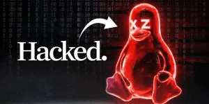 The Internet Was Weeks Away From Disaster and No One Knew