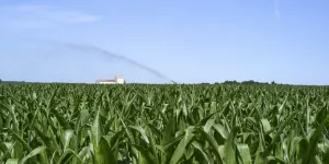 Loi Duplomb : "Le Conseil constitutionnel doit concilier préservation de l’environnement et intérêt général"