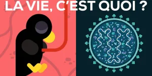 La vie, c’est quoi ? La mort est-elle réelle ?