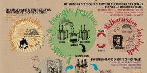 Brasserie à énergie positive avec centre de lavage