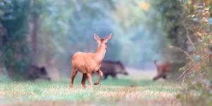 "Les Nouveaux Seigneurs", de Jean-Baptiste Forray : "Porno-chasse" à Saint-Tropez-sous-Bois