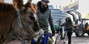La Confédération paysanne mobilise contre l’accord UE-Mercosur