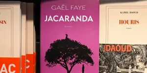 Le prix Goncourt attribué à Kamel Daoud, Gaël Faye obtient le Renaudot