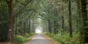 "Dégradation et destruction de matériels : sans sécurité, pas d’avenir pour la filière bois-forêt"