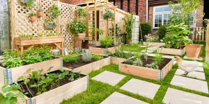 6 tutos et conseils pour créer son potager intérieur ou extérieur